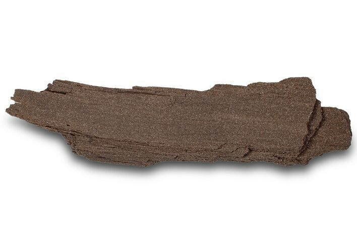 Permineralized Wood Covered In Sparkling Quartz - Germany #307003